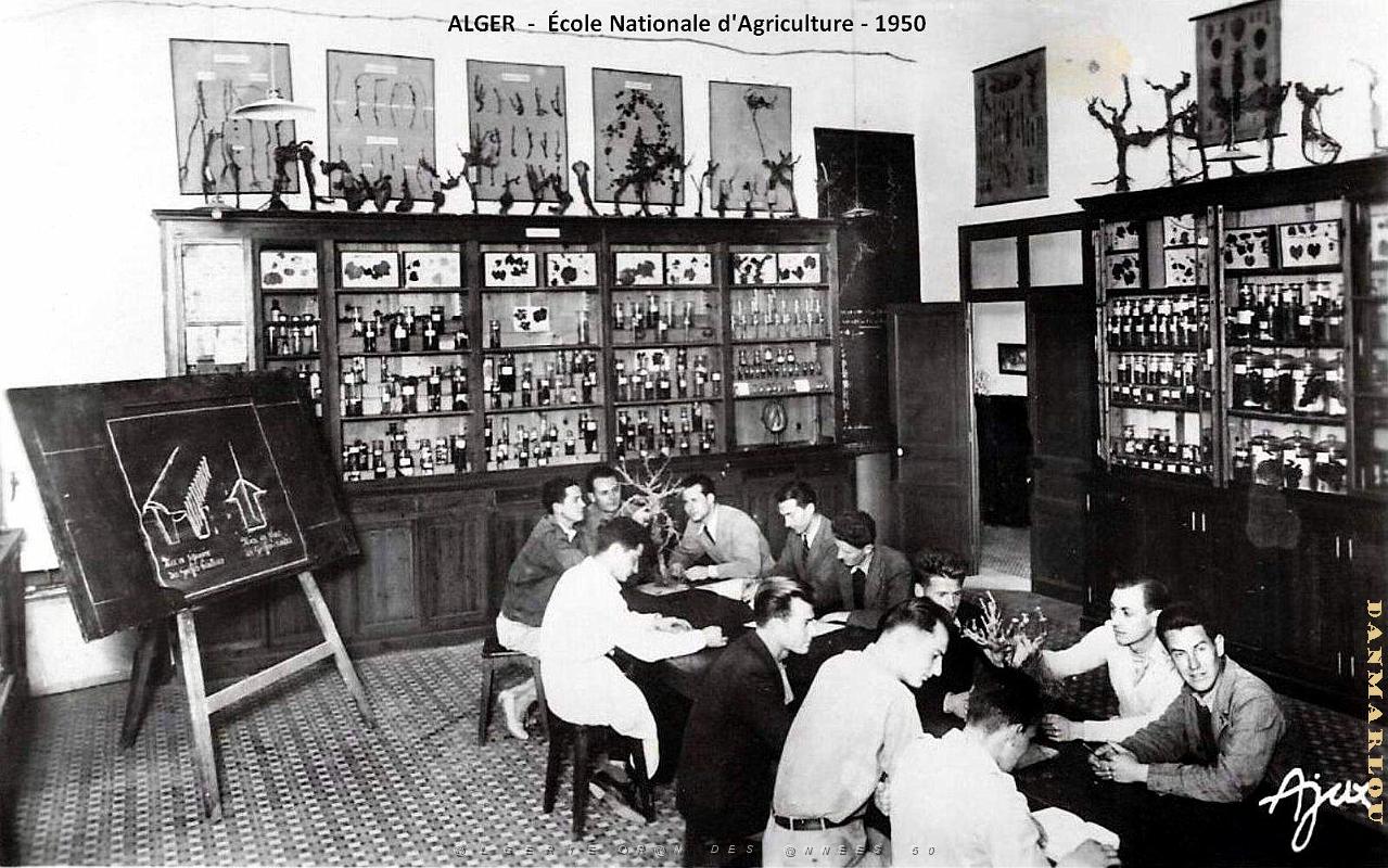 Alger - ecole Nationale d'Agriculture - 1950  .jpg
